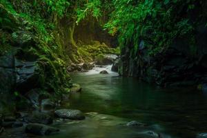 paisaje indonesio por la mañana con una cascada dentro de un hermoso bosque tropical