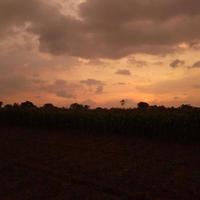 foto de la naturaleza al atardecer en el campo