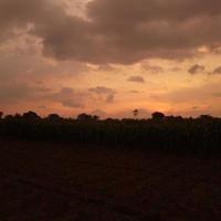 foto de la naturaleza al atardecer en el campo