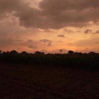 foto de la naturaleza al atardecer en el campo