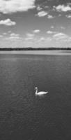 High Angle Footage of British Landscape in Classic Black and White photo