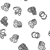 Nut Food Different Seamless Pattern Vector