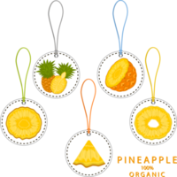 Sweet juicy tasty natural eco product pineapple png