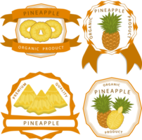 zoet sappig smakelijk natuurlijk eco Product ananas png