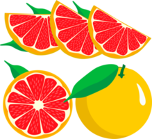 Sweet juicy tasty natural eco product grapefruit png