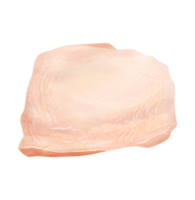chicken Thighs. Cuts of food meat. watercolor png