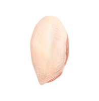 Hühnermittelflügel. Fleischstücke. Aquarell png