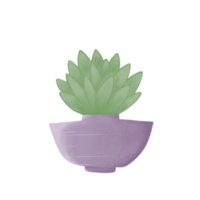 planta minimalista en maceta morada png