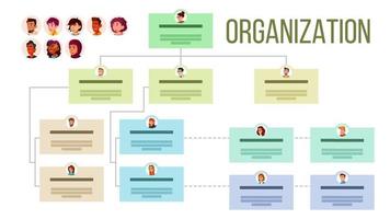 estructura organizativa, organigrama de la empresa, diseño de vectores de diagrama de flujo