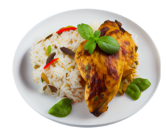 délicieux riz au poulet recette indienne. IA générative png