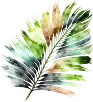 Green Natural Watercolor Palm Tropical Leaf png