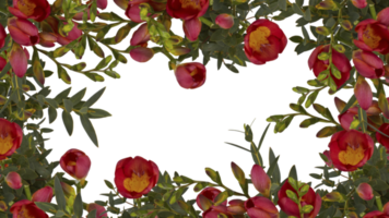 cadre de fleurs copiez l'espace pour le texte avec découpe isolé sur fond transparent
