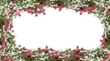 frame of flowers copy space for text with cut out isolated on background transparent png