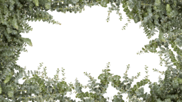 cadre de fleurs copiez l'espace pour le texte avec découpe isolé sur fond transparent png