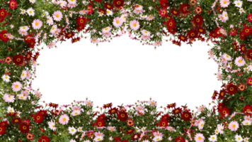 cadre de fleurs copiez l'espace pour le texte avec découpe isolé sur fond transparent png