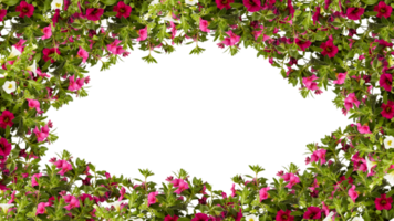 cadre de fleurs copiez l'espace pour le texte avec découpe isolé sur fond transparent png