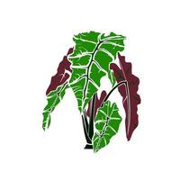 Green leaf vector illustration