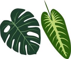 Green leaf vector illustration