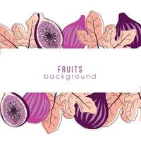 Fig fruits background in trend style vector