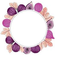 Fig fruits round frame in trend style vector