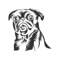 Dog face eyes vector design