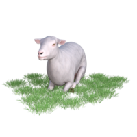 Sheep isolated 3d rendering png