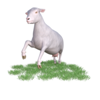 Sheep isolated 3d rendering png