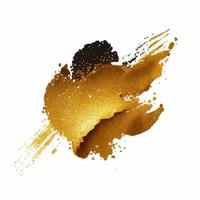 Golden Glitter Paint Splash Isolated vector