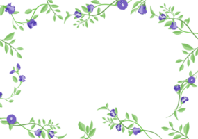 set of butterfly pea floral frame background png