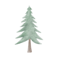 árbol de navidad acuarela aislado sobre fondo de transparencia png