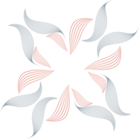 pétalos de flores, adorno floral, elemento de diseño decorativo png