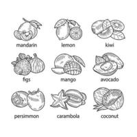 Hand-drawn vector illustration of a set of fruits.