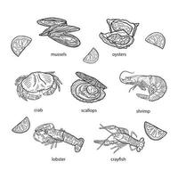 conjunto de mariscos sobre un fondo blanco, ilustración vectorial dibujada a mano. vector
