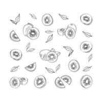 Exotic kiwi fruit. Vector pattern in a hand-drawn style.