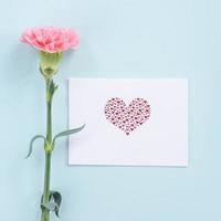 Beautiful, elegant pink carnation flower over bright light blue table background, concept of Mother's Day flower gift, top view, flat lay, overhead photo