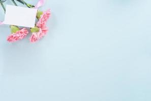 Beautiful, elegant pink carnation flower over bright light blue table background, concept of Mother's Day flower gift, top view, flat lay, overhead photo