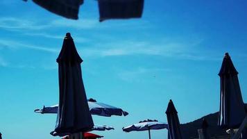 umbrellas flutter in the wind on an Italian beach in August 2022 video