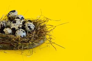 Spring Easter greeting card with quail eggs in a nest on a yellow background. Healthy food. photo