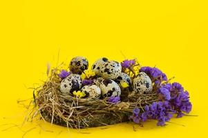 Spring Easter greeting card with quail eggs whith flowers in a nest on a yellow background. Healthy food. photo