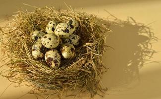 Spring Easter greeting card with quail eggs in a nest on a beige background. Healthy food. photo