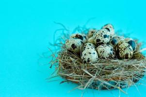 tarjeta de felicitación de pascua de primavera con huevos de codorniz en un nido sobre un fondo azul. comida sana. foto