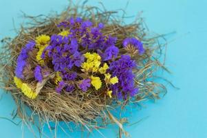 tarjeta de felicitación de primavera con flores en un nido sobre un fondo azul. foto