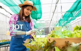 la mujer agricultora usa un teléfono inteligente en el invernadero usando aplicaciones e Internet de las cosas iot para verificar la ensalada de lechuga de roble verde fresca, vegetales hidropónicos orgánicos en invernadero, concepto de agricultura iot. foto