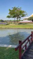 Bangkok, Thailand. December 25, 2022. Edge of the canal bank in the morning at the public park Suan Luang Rama IX. video