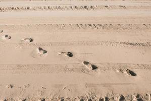 Traces of people in the sand of a beach. Pure sand on the beach as a background, texture. Selective focus. photo