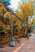 A street lamp pole that is so aesthetic in a park area in Denpasar. photo