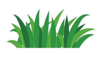natural green grass bushes decorate environmental ecology cartoon scene vector