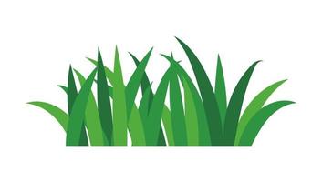 natural green grass bushes decorate environmental ecology cartoon scene vector