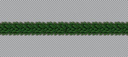 Border with Christmas Tree Branches on Transparent Background. vector