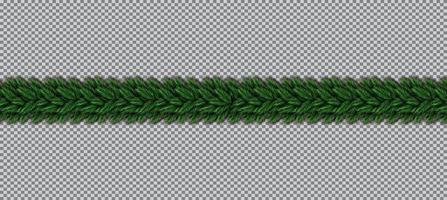 Border with Christmas Tree Branches on Transparent Background. vector